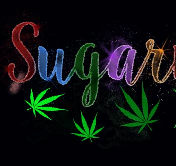 sugarmamas medibles
